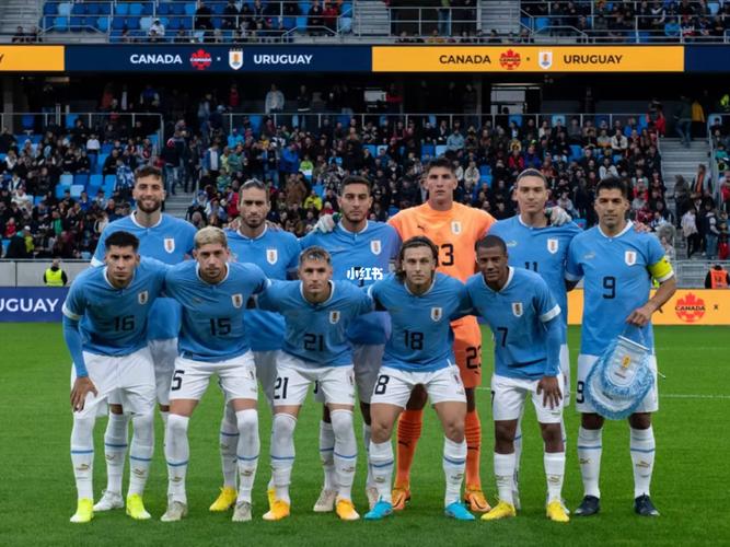 世界杯乌拉圭队直播